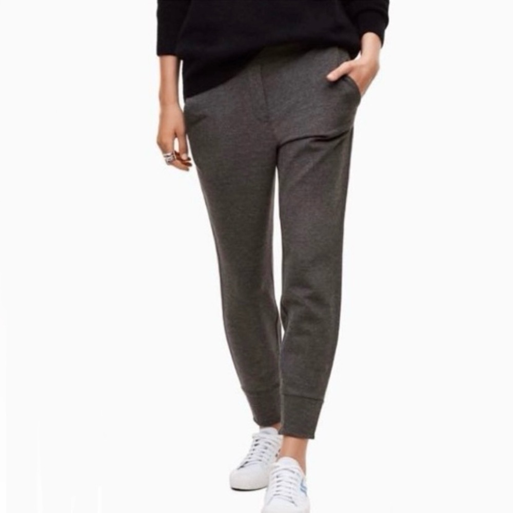 Aritzia Babaton Cline jersey jogger pants. 🩶